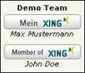 Modul Xing Team.jpg